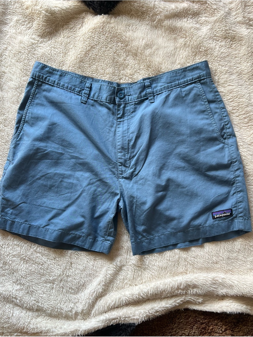 Patagonia Men's Slate Blue Flat Front Shorts - Picture 2 of 9